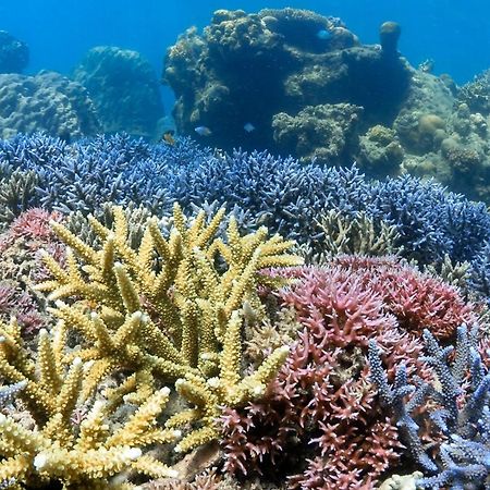 Отель Alam Karang Gili Gede Экстерьер фото