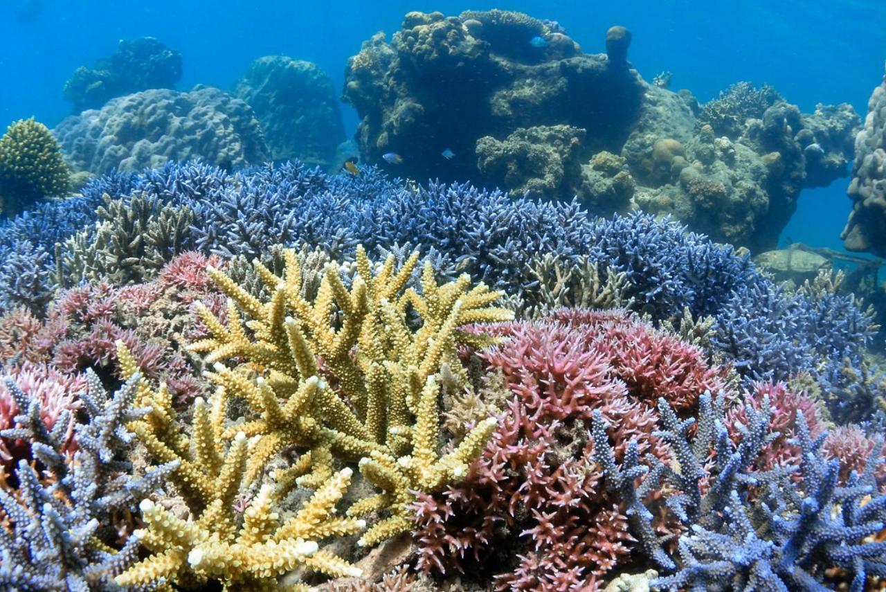 Отель Alam Karang Gili Gede Экстерьер фото