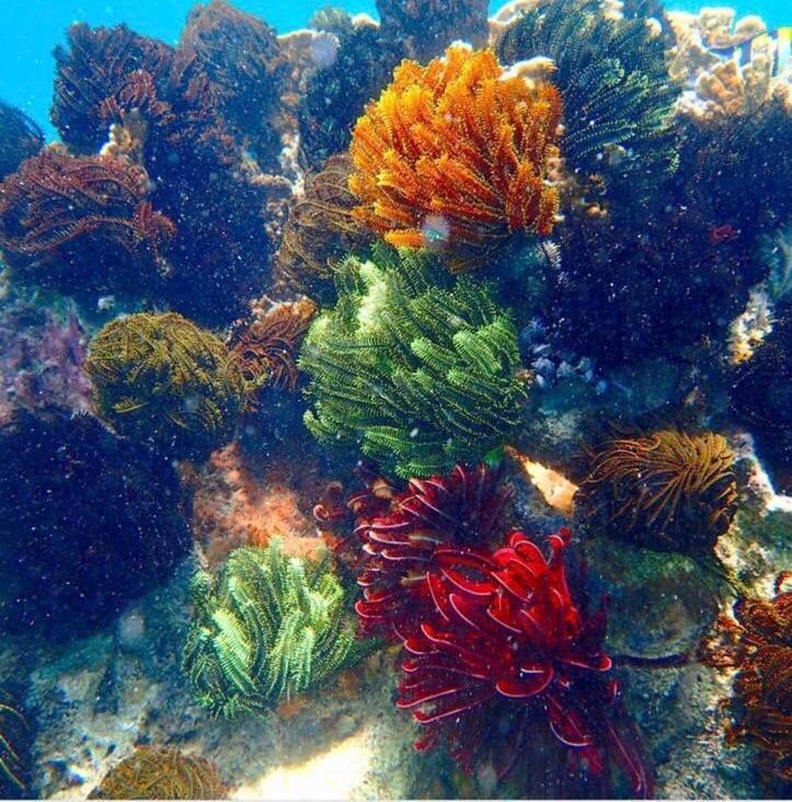 Отель Alam Karang Gili Gede Экстерьер фото